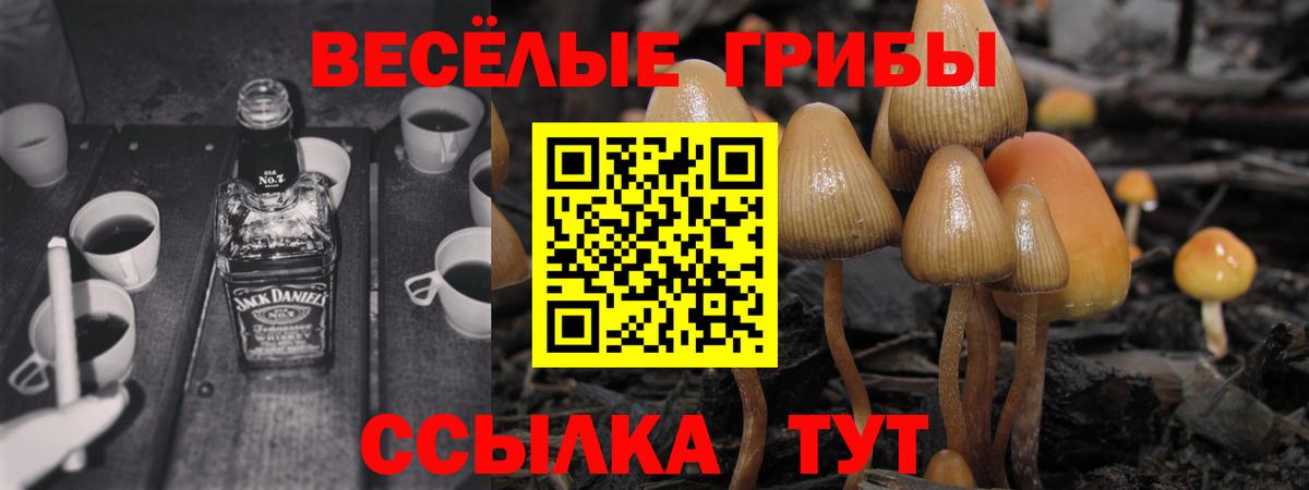 Псилоцибиновые грибы GOLDEN TEACHER Новоуральск